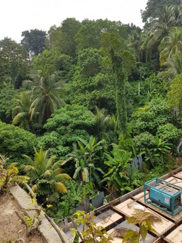 Over 1ac of designated greenery, only one  in Damansara Heights.