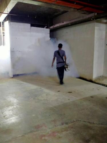 Fogging in progress.