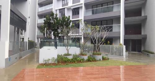 Landscaped pool courtyard.