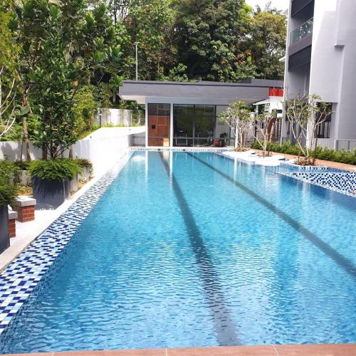 Block A - view of 25m swimming pool with sun loungers.