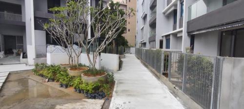 Courtyard walkway completed. 