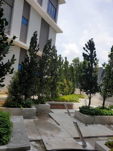 View of hammock garden.